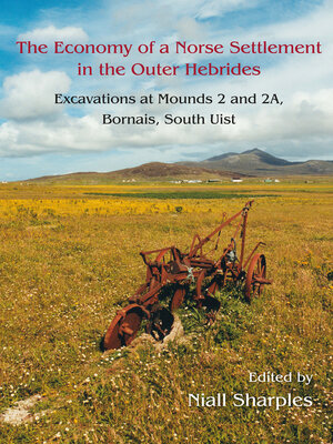 cover image of The Economy of a Norse Settlement in the Outer Hebrides